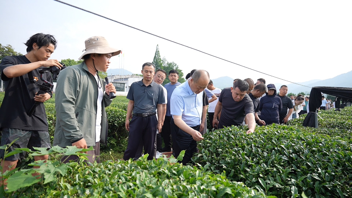 紹興茶葉氣象科技小院開(kāi)展技術(shù)推廣示范活動(dòng)